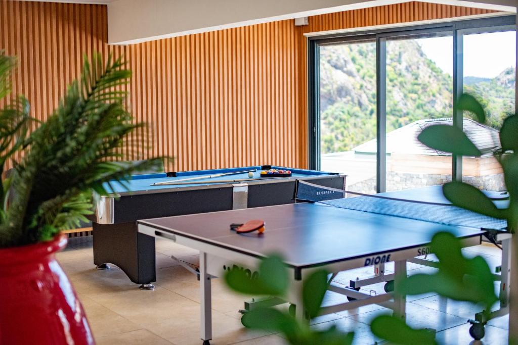 Piscine à débordement de la Villa Cali